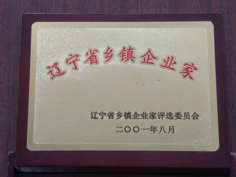 遼寧鄉(xiāng)鎮(zhèn)企業(yè)家 2001.jpg