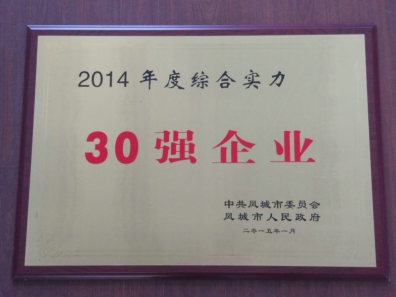 30強(qiáng)企業(yè) 2014.jpg