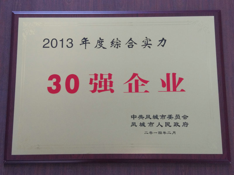 30強(qiáng)企業(yè) 2013.jpg