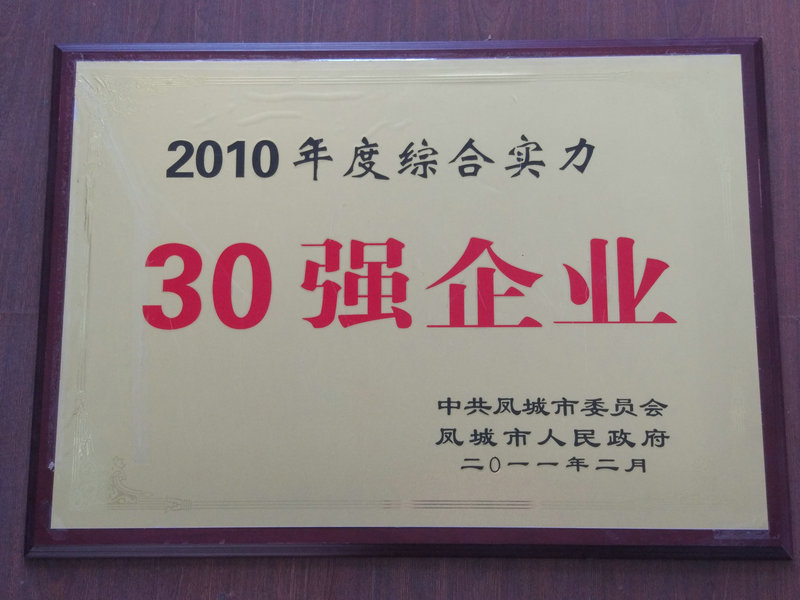 30強(qiáng)企業(yè) 2010.jpg