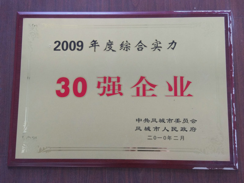 30強(qiáng)企業(yè) 2009.jpg